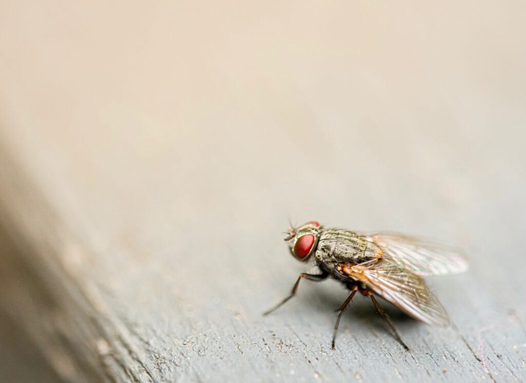 Foto: Jin Yeong Kim/Unsplash