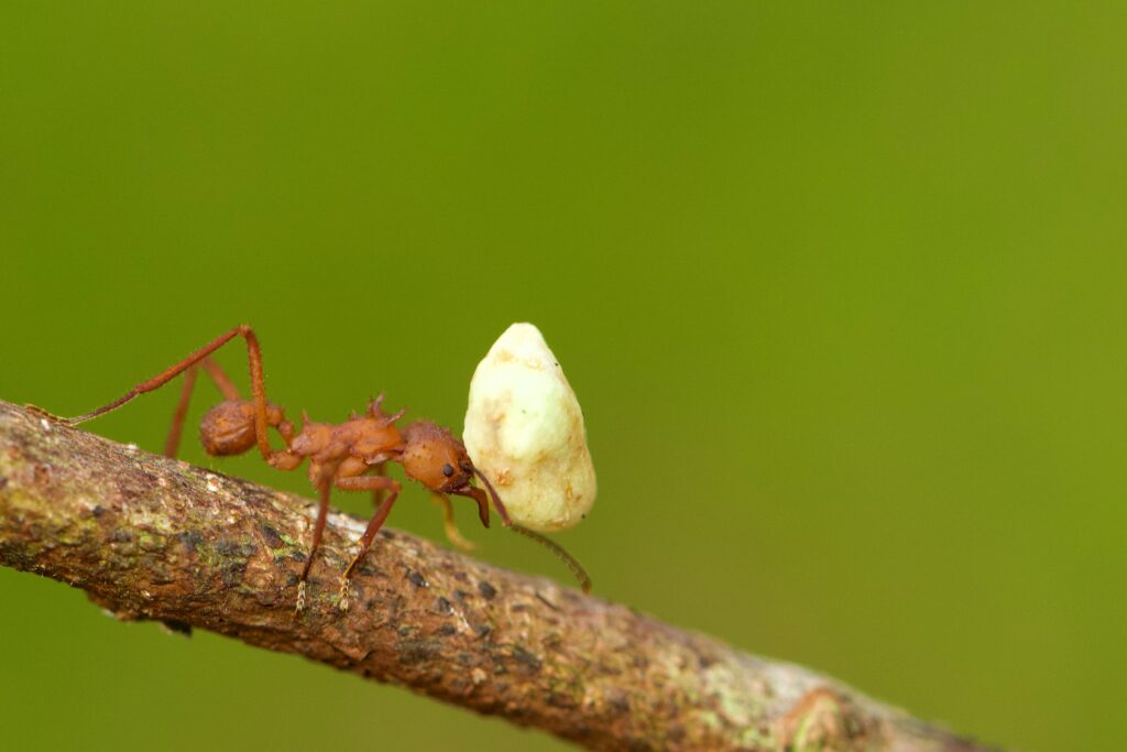 Foto: James Wainscoat/Unsplash